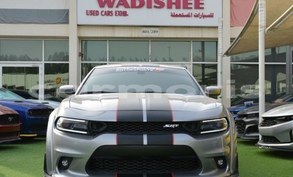 Buy Import Dodge Charger Other Car in Import - Dubai in Agalega Islands