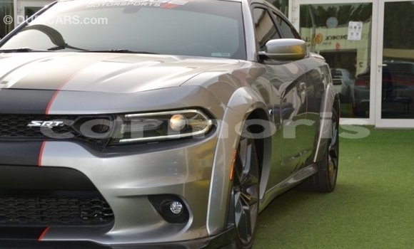Buy Import Dodge Charger Other Car in Import - Dubai in Agalega Islands Buy Import Dodge Charger Other Car in Import - Dubai in Agalega Islands