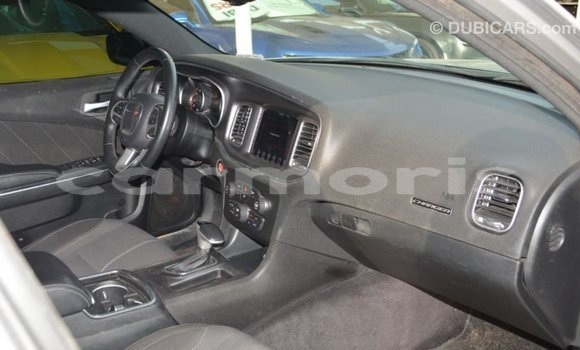 Buy Import Dodge Charger Other Car in Import - Dubai in Agalega Islands Buy Import Dodge Charger Other Car in Import - Dubai in Agalega Islands