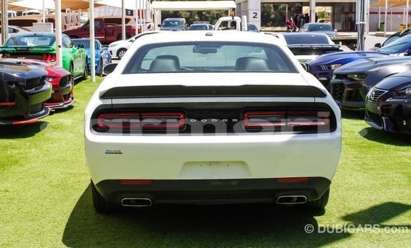 Buy Import Dodge Challenger White Car in Import - Dubai in Agalega Islands Buy Import Dodge Challenger White Car in Import - Dubai in Agalega Islands