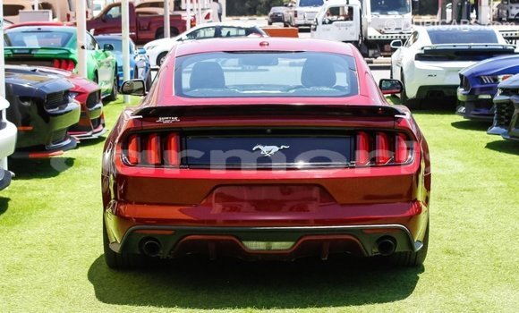 Buy Import Ford Mustang Red Car in Import - Dubai in Agalega Islands Buy Import Ford Mustang Red Car in Import - Dubai in Agalega Islands
