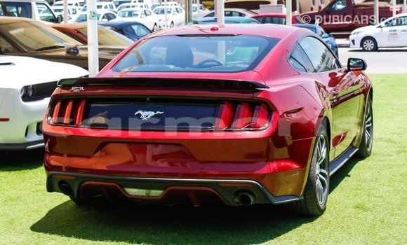 Buy Import Ford Mustang Red Car in Import - Dubai in Agalega Islands Buy Import Ford Mustang Red Car in Import - Dubai in Agalega Islands