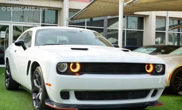 Buy Import Dodge Challenger White Car in Import - Dubai in Agalega Islands Buy Import Dodge Challenger White Car in Import - Dubai in Agalega Islands