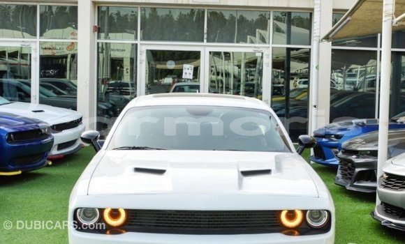 Buy Import Dodge Challenger White Car in Import - Dubai in Agalega Islands Buy Import Dodge Challenger White Car in Import - Dubai in Agalega Islands