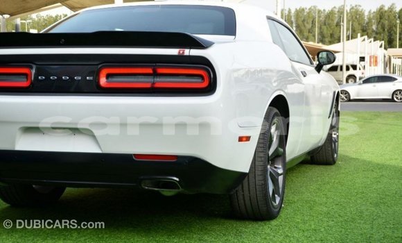 Buy Import Dodge Challenger White Car in Import - Dubai in Agalega Islands Buy Import Dodge Challenger White Car in Import - Dubai in Agalega Islands