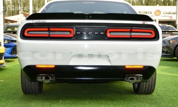 Buy Import Dodge Challenger White Car in Import - Dubai in Agalega Islands Buy Import Dodge Challenger White Car in Import - Dubai in Agalega Islands