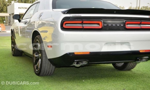 Buy Import Dodge Challenger White Car in Import - Dubai in Agalega Islands Buy Import Dodge Challenger White Car in Import - Dubai in Agalega Islands