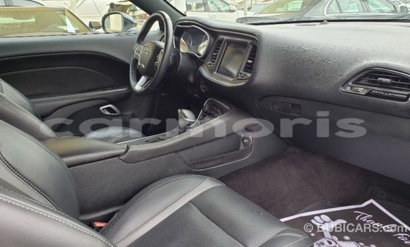 Buy Import Dodge Challenger White Car in Import - Dubai in Agalega Islands Buy Import Dodge Challenger White Car in Import - Dubai in Agalega Islands