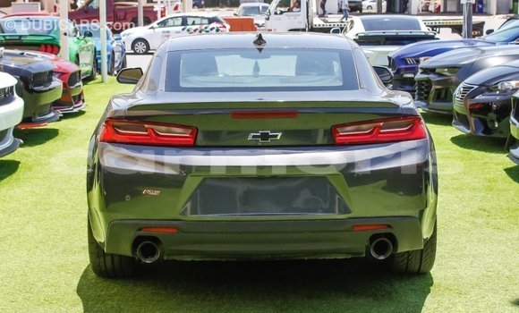 Buy Import Chevrolet Camaro Other Car in Import - Dubai in Agalega Islands Buy Import Chevrolet Camaro Other Car in Import - Dubai in Agalega Islands