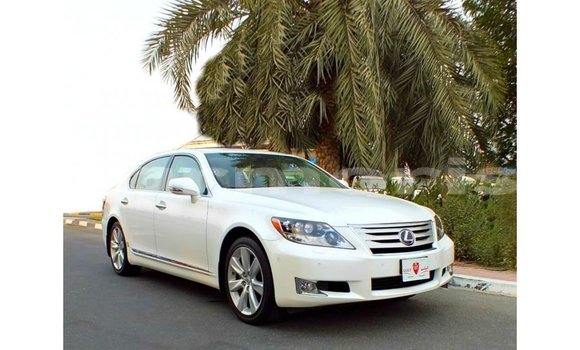 Buy Import Lexus LS White Car in Import - Dubai in Agalega Islands