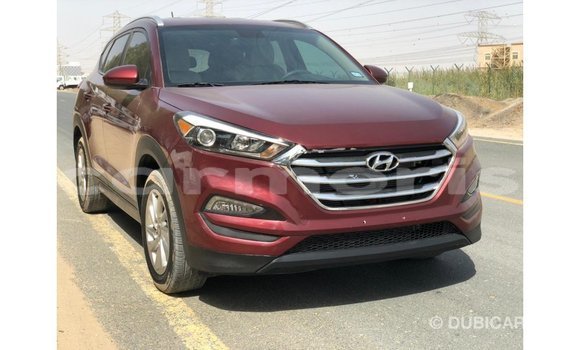 Buy Import Hyundai Tucson Red Car in Import - Dubai in Agalega Islands Buy Import Hyundai Tucson Red Car in Import - Dubai in Agalega Islands