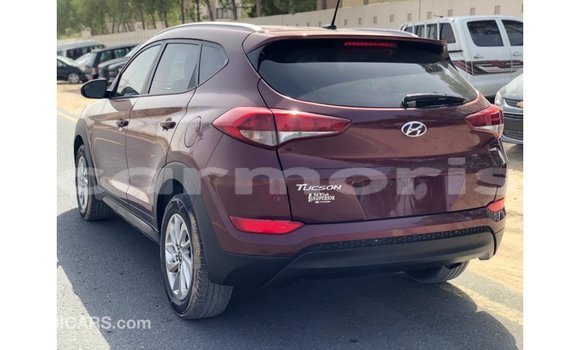 Buy Import Hyundai Tucson Red Car in Import - Dubai in Agalega Islands Buy Import Hyundai Tucson Red Car in Import - Dubai in Agalega Islands