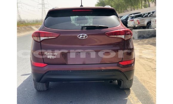 Buy Import Hyundai Tucson Red Car in Import - Dubai in Agalega Islands Buy Import Hyundai Tucson Red Car in Import - Dubai in Agalega Islands