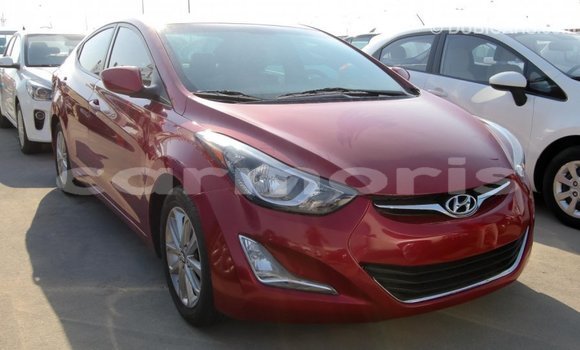 Buy Import Hyundai Elantra Red Car in Import - Dubai in Agalega Islands Buy Import Hyundai Elantra Red Car in Import - Dubai in Agalega Islands