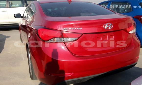 Buy Import Hyundai Elantra Red Car in Import - Dubai in Agalega Islands Buy Import Hyundai Elantra Red Car in Import - Dubai in Agalega Islands