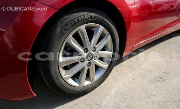 Buy Import Hyundai Elantra Red Car in Import - Dubai in Agalega Islands Buy Import Hyundai Elantra Red Car in Import - Dubai in Agalega Islands