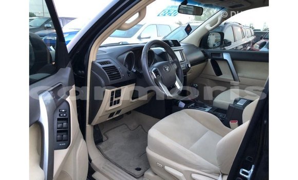 Buy Import Toyota Prado Black Car in Import - Dubai in Agalega Islands Buy Import Toyota Prado Black Car in Import - Dubai in Agalega Islands