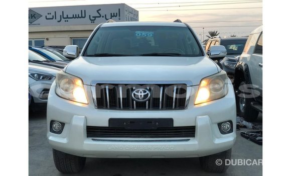 Buy Import Toyota Prado White Car in Import - Dubai in Agalega Islands Buy Import Toyota Prado White Car in Import - Dubai in Agalega Islands