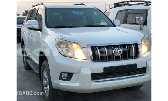 Buy Import Toyota Prado White Car in Import - Dubai in Agalega Islands Buy Import Toyota Prado White Car in Import - Dubai in Agalega Islands
