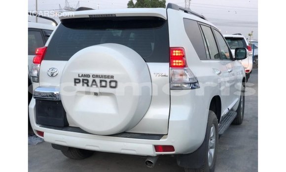 Buy Import Toyota Prado White Car in Import - Dubai in Agalega Islands Buy Import Toyota Prado White Car in Import - Dubai in Agalega Islands