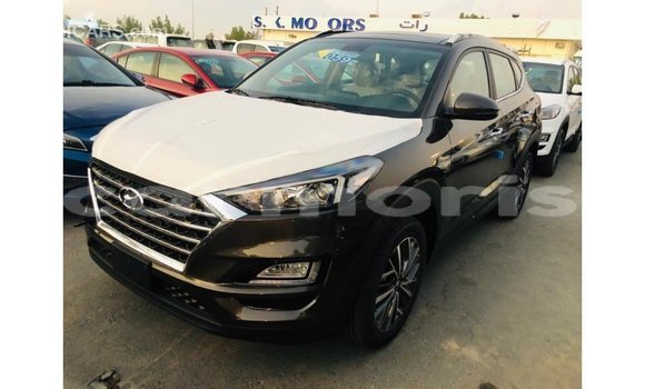 Buy Import Hyundai Tucson Brown Car in Import - Dubai in Agalega Islands Buy Import Hyundai Tucson Brown Car in Import - Dubai in Agalega Islands