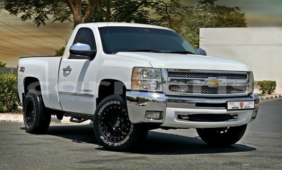Buy Import Chevrolet Silverado White Car in Import - Dubai in Agalega Islands Buy Import Chevrolet Silverado White Car in Import - Dubai in Agalega Islands