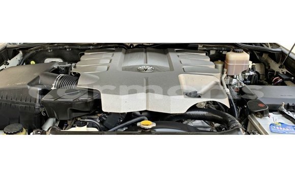 Acheter Import Voiture Toyota Land Cruiser Blanc à Import - Dubai, Îles Agalega Acheter Import Voiture Toyota Land Cruiser Blanc à Import - Dubai, Îles Agalega