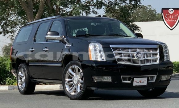 Buy Import Cadillac Escalade Black Car in Import - Dubai in Agalega Islands