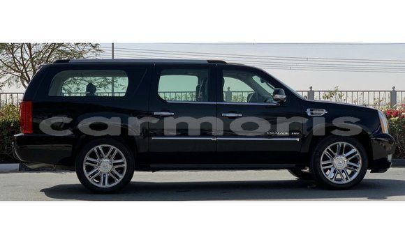 Buy Import Cadillac Escalade Black Car in Import - Dubai in Agalega Islands Buy Import Cadillac Escalade Black Car in Import - Dubai in Agalega Islands