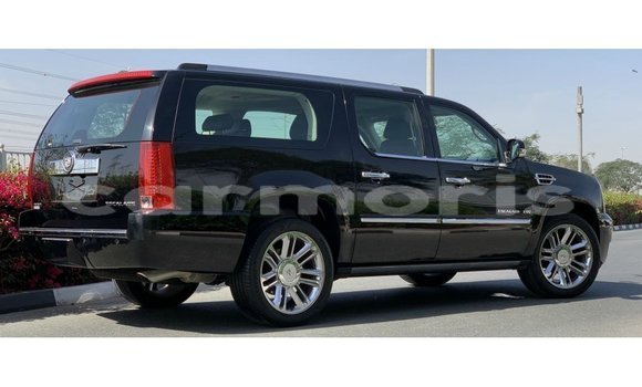 Buy Import Cadillac Escalade Black Car in Import - Dubai in Agalega Islands Buy Import Cadillac Escalade Black Car in Import - Dubai in Agalega Islands