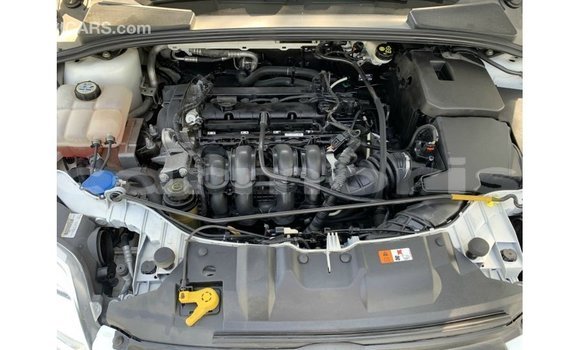 Buy Import Ford Focus White Car in Import - Dubai in Agalega Islands Buy Import Ford Focus White Car in Import - Dubai in Agalega Islands