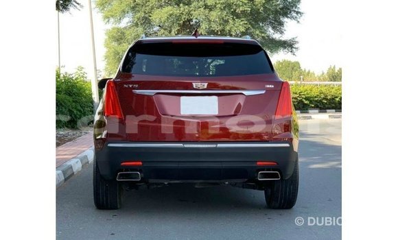 Buy Import Cadillac XT5 Red Car in Import - Dubai in Agalega Islands Buy Import Cadillac XT5 Red Car in Import - Dubai in Agalega Islands