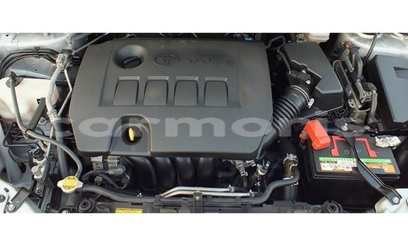 Buy Import Toyota Corolla Other Car in Import - Dubai in Agalega Islands Buy Import Toyota Corolla Other Car in Import - Dubai in Agalega Islands