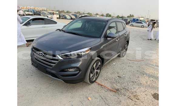 Buy Import Hyundai Tucson Other Car in Import - Dubai in Agalega Islands Buy Import Hyundai Tucson Other Car in Import - Dubai in Agalega Islands