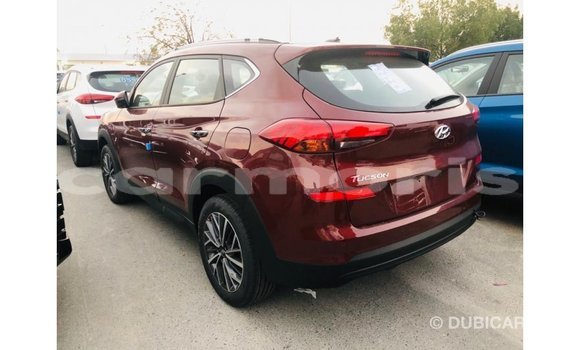 Buy Import Hyundai Tucson Other Car in Import - Dubai in Agalega Islands Buy Import Hyundai Tucson Other Car in Import - Dubai in Agalega Islands