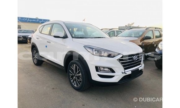 Buy Import Hyundai Tucson White Car in Import - Dubai in Agalega Islands Buy Import Hyundai Tucson White Car in Import - Dubai in Agalega Islands