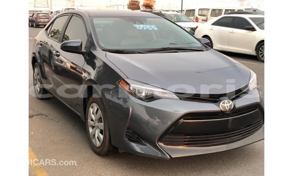 Buy Import Toyota Corolla Other Car in Import - Dubai in Agalega Islands Buy Import Toyota Corolla Other Car in Import - Dubai in Agalega Islands