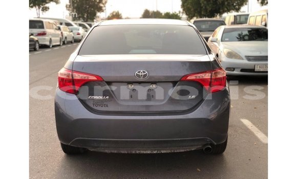 Buy Import Toyota Corolla Other Car in Import - Dubai in Agalega Islands Buy Import Toyota Corolla Other Car in Import - Dubai in Agalega Islands