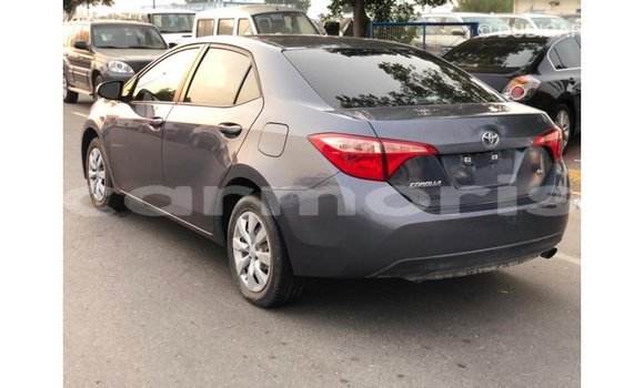 Buy Import Toyota Corolla Other Car in Import - Dubai in Agalega Islands Buy Import Toyota Corolla Other Car in Import - Dubai in Agalega Islands