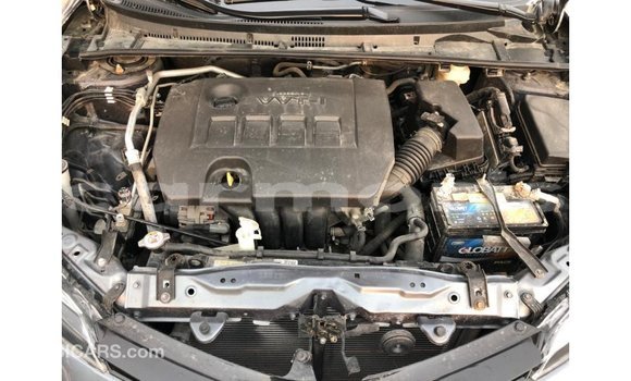 Buy Import Toyota Corolla Other Car in Import - Dubai in Agalega Islands Buy Import Toyota Corolla Other Car in Import - Dubai in Agalega Islands