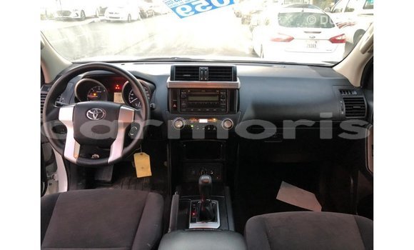 Buy Import Toyota Prado White Car in Import - Dubai in Agalega Islands Buy Import Toyota Prado White Car in Import - Dubai in Agalega Islands