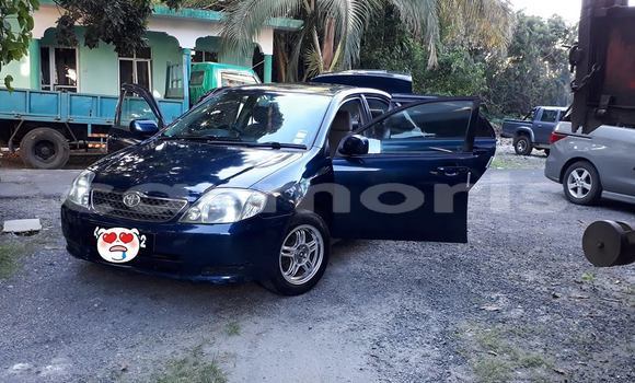Buy Used Toyota Corolla Blue Car in Centre de Flacq in Flacq District Buy Used Toyota Corolla Blue Car in Centre de Flacq in Flacq District