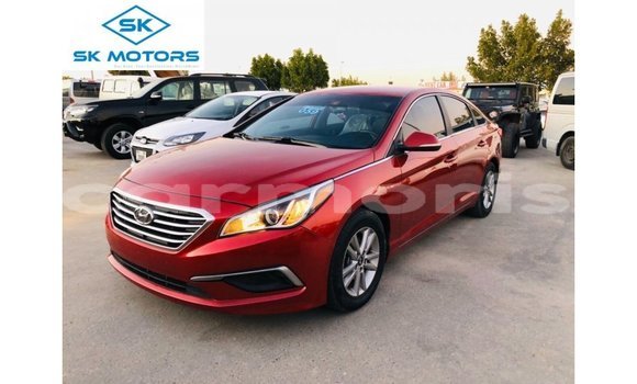 Buy Import Hyundai Sonata Red Car in Import - Dubai in Agalega Islands