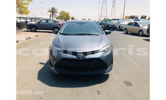 Buy Import Toyota Corolla Other Car in Import - Dubai in Agalega Islands Buy Import Toyota Corolla Other Car in Import - Dubai in Agalega Islands
