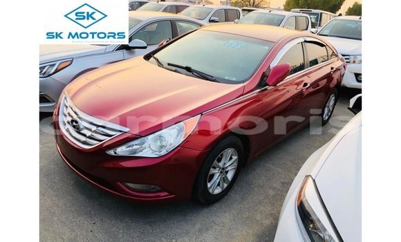 Buy Import Hyundai Sonata Red Car in Import - Dubai in Agalega Islands