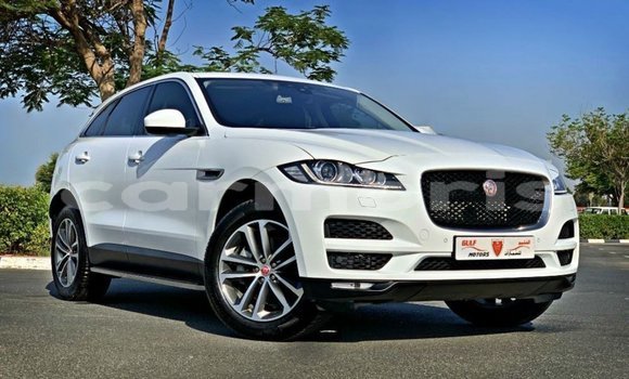 Buy Import Jaguar F-Pace White Car in Import - Dubai in Agalega Islands