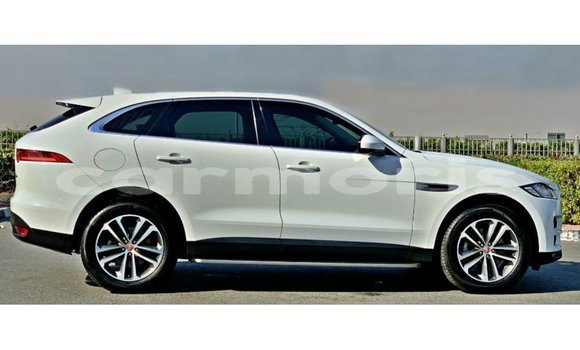 Buy Import Jaguar F-Pace White Car in Import - Dubai in Agalega Islands Buy Import Jaguar F-Pace White Car in Import - Dubai in Agalega Islands