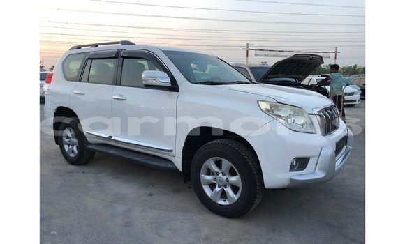 Buy Import Toyota Prado White Car in Import - Dubai in Agalega Islands Buy Import Toyota Prado White Car in Import - Dubai in Agalega Islands
