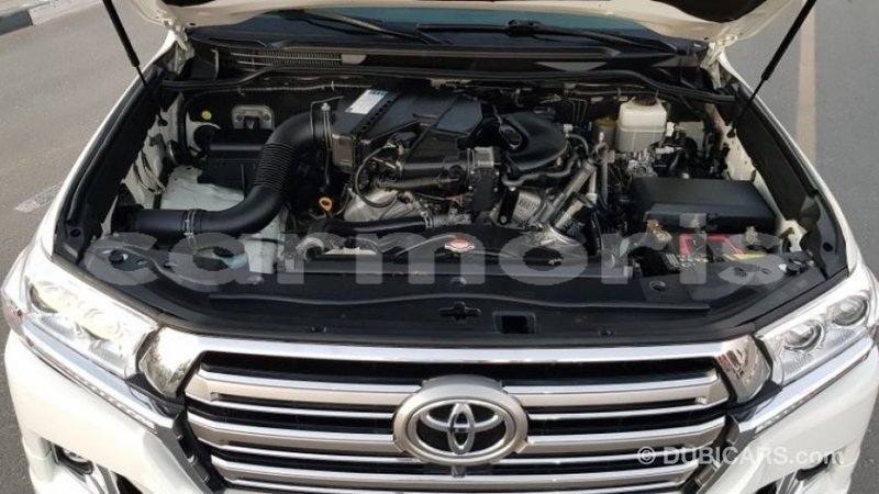 Big with watermark b749c5e6 2d15 46c8 821a f523cfb76681