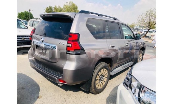 Acheter Import Voiture Toyota Prado Marron à Import - Dubai, Îles Agalega Acheter Import Voiture Toyota Prado Marron à Import - Dubai, Îles Agalega